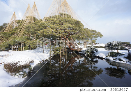 Karasugi-en Garden Karasaki Matsu 29618627