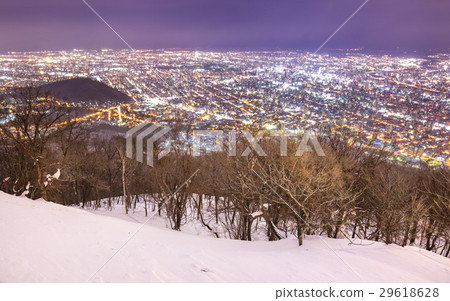 Sapporo's winter scene 29618628