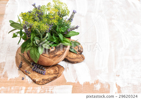 Fresh herbs dill, thyme, sage, lavender, mint Fresh herbs dill, thyme, sage, lavender, mint 29620324