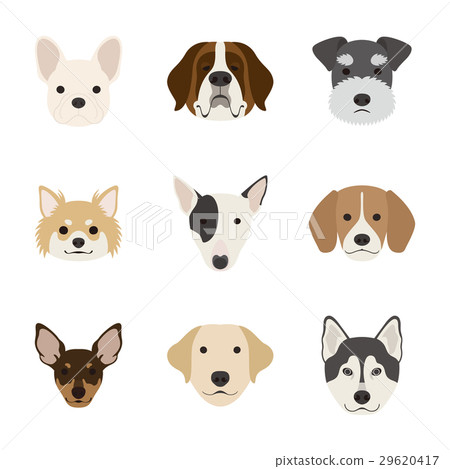 狗的臉套 29620417