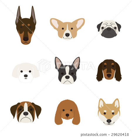 Dog's face set - Stock Illustration [29620418] - PIXTA