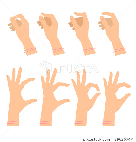 Various gestures of female hands on a white. Various gestures of female hands on a white. 29620747