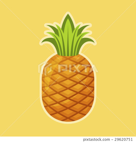 Vector illustration of a pineapple. Healthy food. 29620751