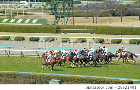 阪神賽馬場站在前面 阪神賽馬場站在前面 29621491