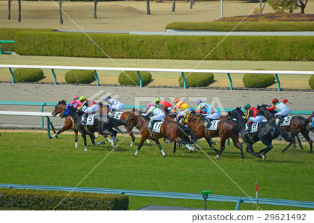 阪神賽馬場站在前面 阪神賽馬場站在前面 29621492