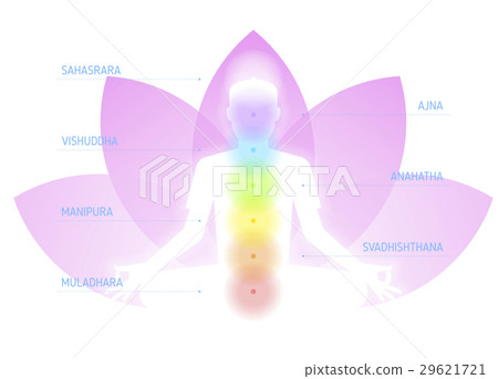 Human meditating silhouette with chakras 29621721