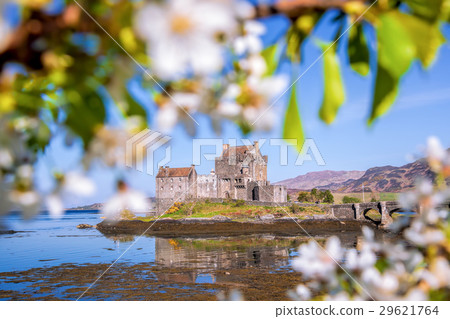 Eilean Donan Castle in Scotland with spring tree 29621764