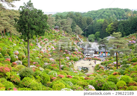 鹽船觀音寺 29622189