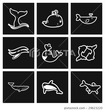 assembly stylish black and white icons whales assembly stylish black and white icons whales 29623220