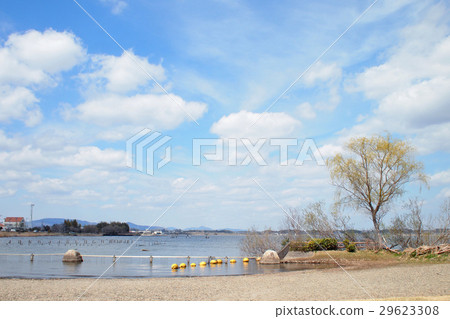 土浦市霞浦綜合公園1 土浦市霞浦綜合公園1 29623308
