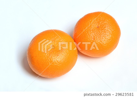 橘子 橘子 29623581