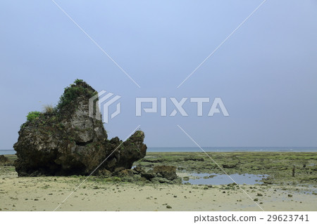 Beach. 2 (Tamaki, Nanjo City, Okinawa Prefecture) Beach. 2 (Tamaki, Nanjo City, Okinawa Prefecture) 29623741