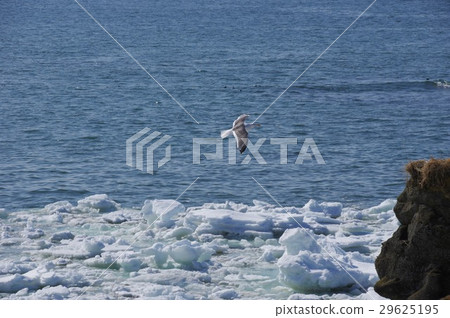 Drift ice Drift ice 29625195