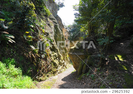 March Zushi 44 Nagoshi cut first turn · Kamakura seven mouth 29625392