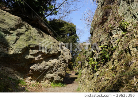 3月,Zushi 46 Nagoshi切第一輪·Kamakura Nanaguchi 3月,Zushi 46 Nagoshi切第一輪·Kamakura Nanaguchi 29625396