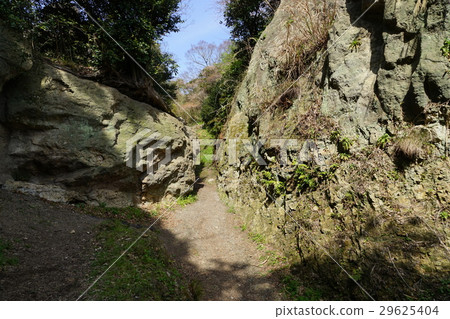 March Zushi 54 Nagoshi cut first turn · Kamakura seven mouth 29625404