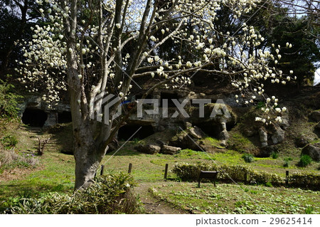 March, Zushi 64 Mandolida giga group March, Zushi 64 Mandolida giga group 29625414