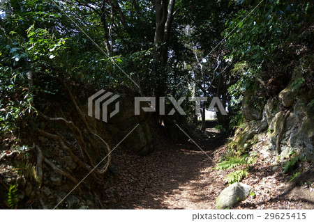 March Zushi 65 Nagoshi cut second cut · Kamakura Nanba March Zushi 65 Nagoshi cut second cut · Kamakura Nanba 29625415