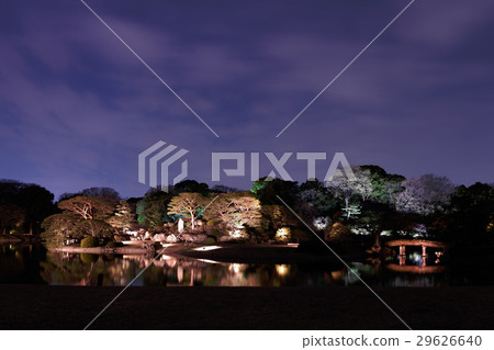 Rokuen Garden night view Rokuen Garden night view 29626640