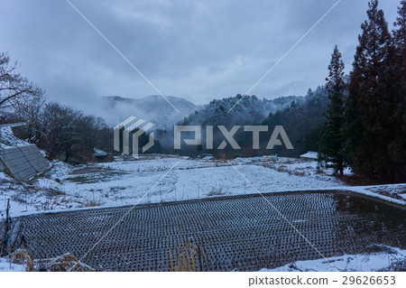山和稻田 山和稻田 29626653
