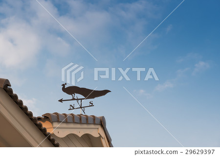 Weathervane with peacock 29629397