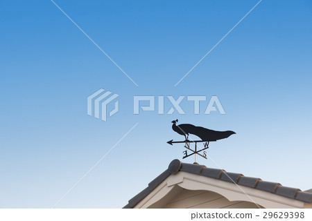 Weathervane with peacock 29629398
