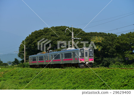 森林和當地火車 森林和當地火車 29629400