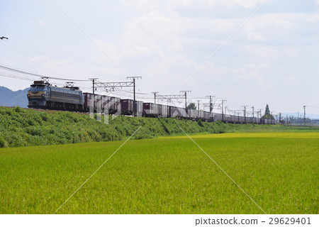 夏日午後的貨運列車 夏日午後的貨運列車 29629401