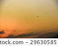 日落和戰鬥機 29630585