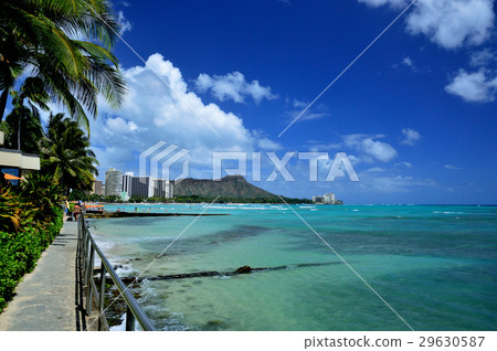 鑽石頭和威基基海灘 29630587