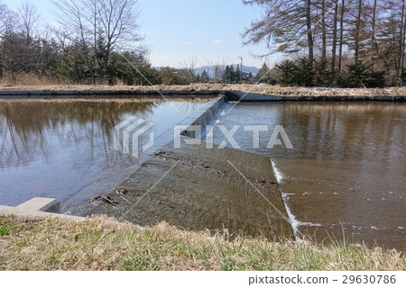 Sengataki熱水通道 29630786