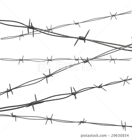 Coil of Steel Barbed Wire 29630854