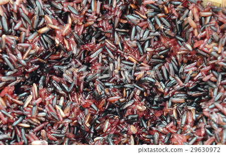 black sticky rice in bamboo earthenware steamer black sticky rice in bamboo earthenware steamer 29630972