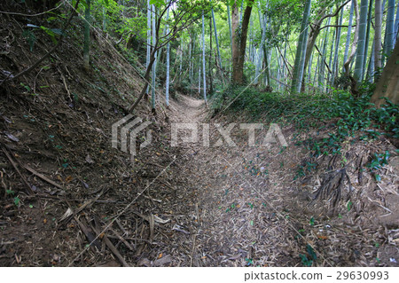 愛媛縣今治市小島Nakabe電塔控制塔入站路線 29630993