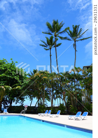 池畔 池畔 29631331