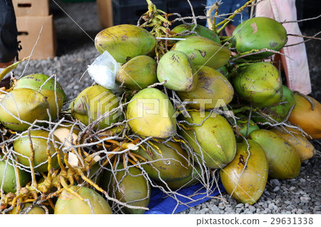 Coconut morning market 29631338
