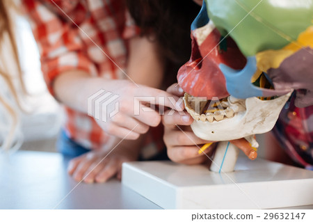 Imaginative little scientists examining human Imaginative little scientists examining human 29632147