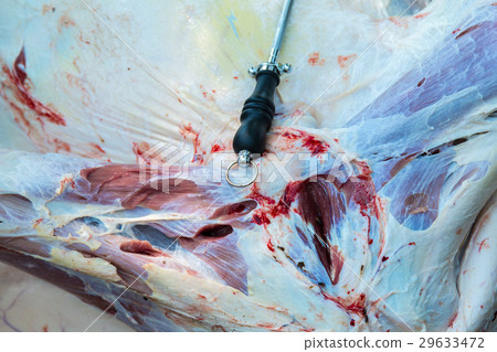 Necropsy cow disease diagnosis Necropsy cow disease diagnosis 29633472