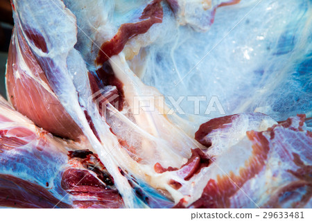 Necropsy cow disease diagnosis Necropsy cow disease diagnosis 29633481