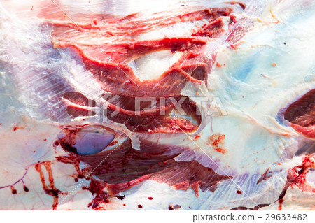 Necropsy cow disease diagnosis Necropsy cow disease diagnosis 29633482