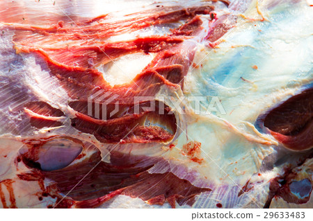 Necropsy cow disease diagnosis Necropsy cow disease diagnosis 29633483