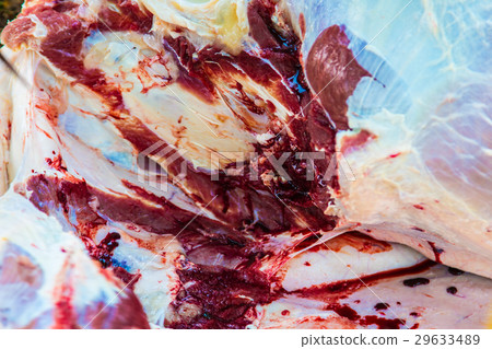 Necropsy cow disease diagnosis Necropsy cow disease diagnosis 29633489