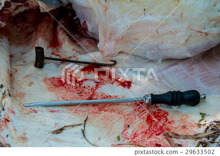 Necropsy cow disease diagnosis Necropsy cow disease diagnosis 29633502