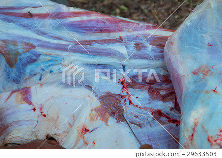 Necropsy cow disease diagnosis Necropsy cow disease diagnosis 29633503