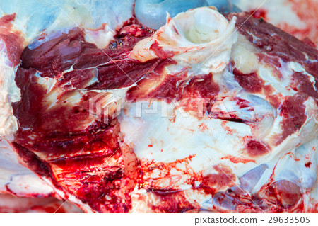 Necropsy cow disease diagnosis Necropsy cow disease diagnosis 29633505