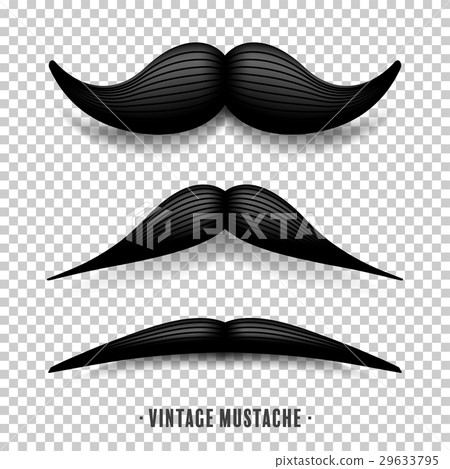 Mustache isolated on white. Black vector vintage 29633795