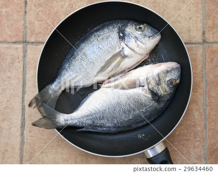 two Dourada fishes 29634460