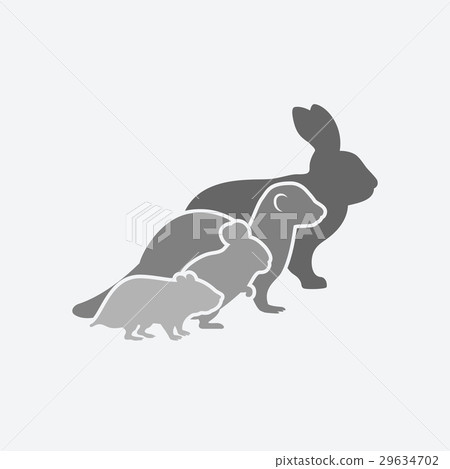 rabbit, ferret, chinchilla, hamster silhouettes 29634702