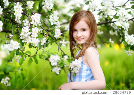 Adorable little girl in blooming apple tree garden on spring day Adorable little girl in blooming apple tree garden on spring day 29634759