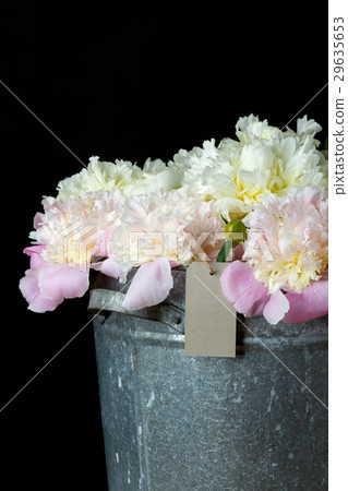 the bunch of peonies in a metal bucket 29635653